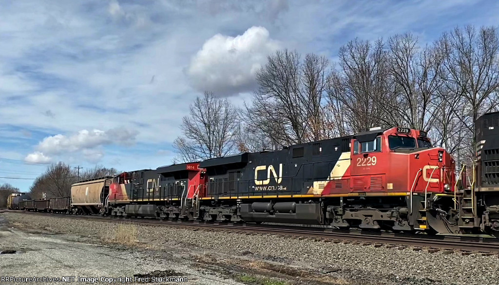 CN 2229